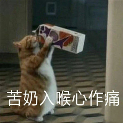 爆火的好笑表情