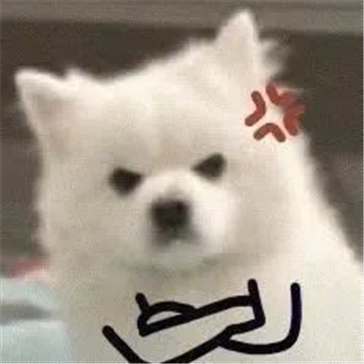 爆火的好笑表情