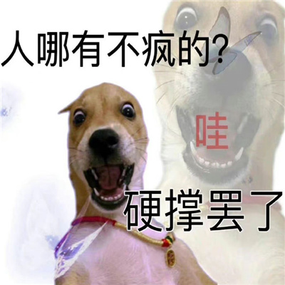 爆火的好笑表情