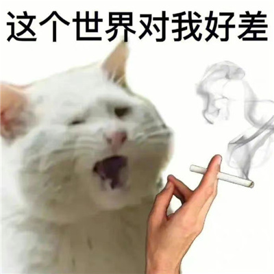 爆火的好笑表情